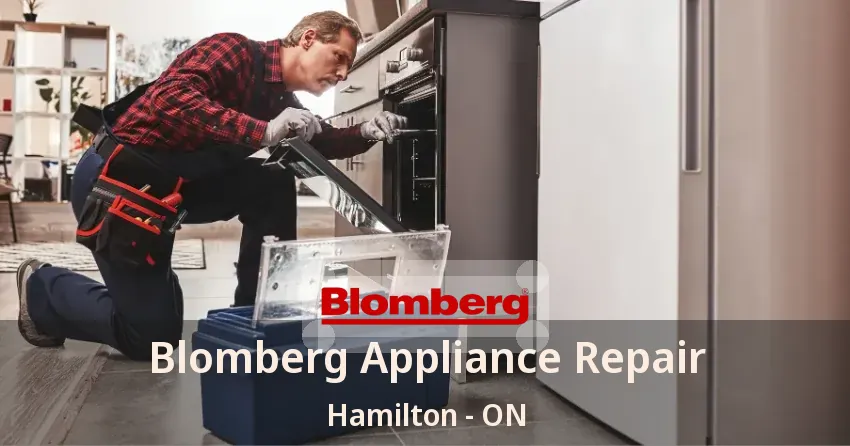 Blomberg Appliance Repair Hamilton - ON