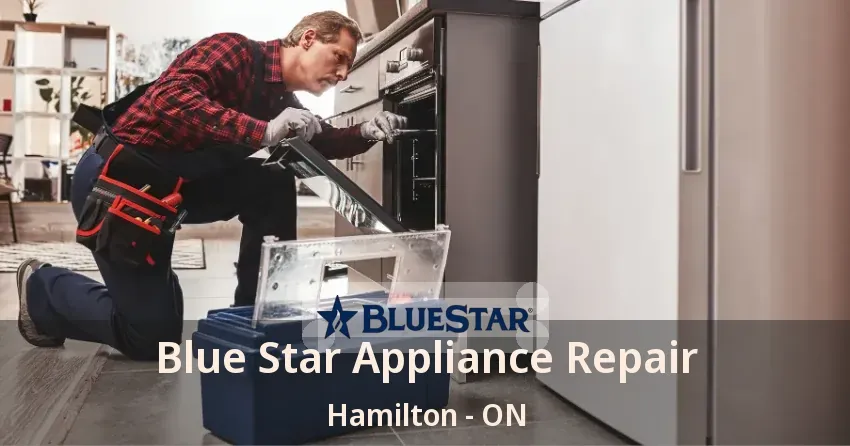 Blue Star Appliance Repair Hamilton - ON