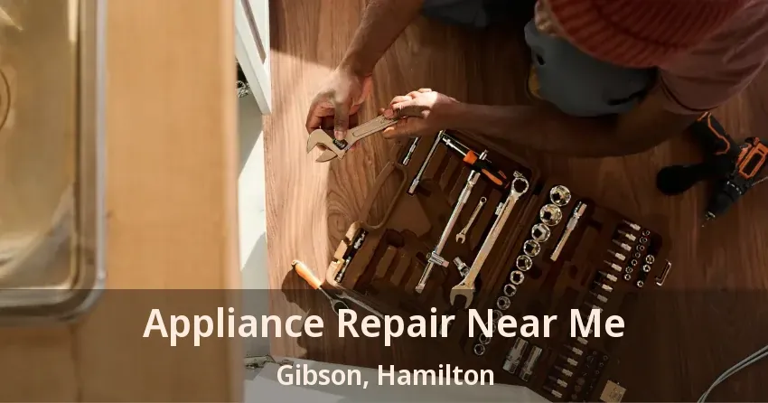 Appliance Repair Near Me Gibson, Hamilton - ON