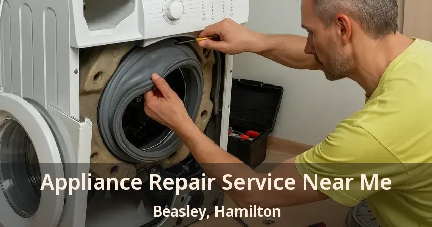 Appliance Repair Service Near Me Beasley, Hamilton - ON