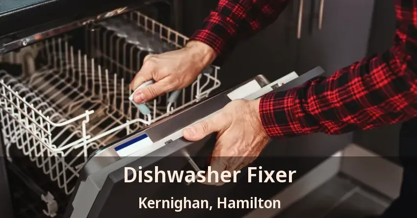 Dishwasher Fixer Kernighan, Hamilton - ON