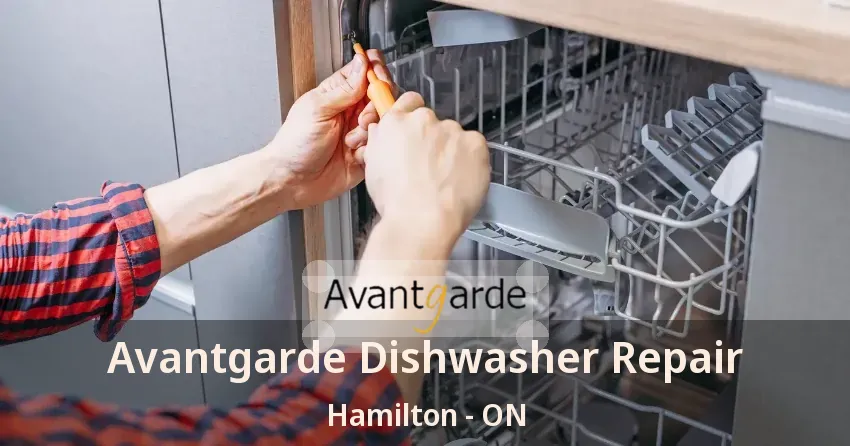 Avantgarde Dishwasher Repair Hamilton - ON