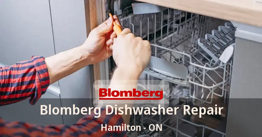 Blomberg Dishwasher Repair Hamilton - ON