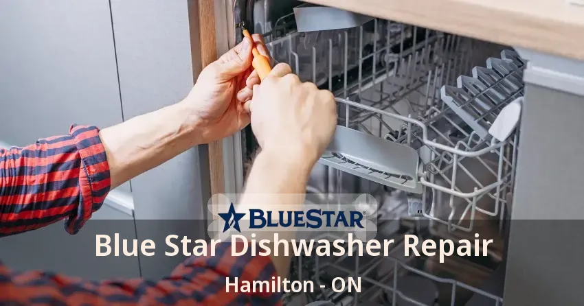 Blue Star Dishwasher Repair Hamilton - ON