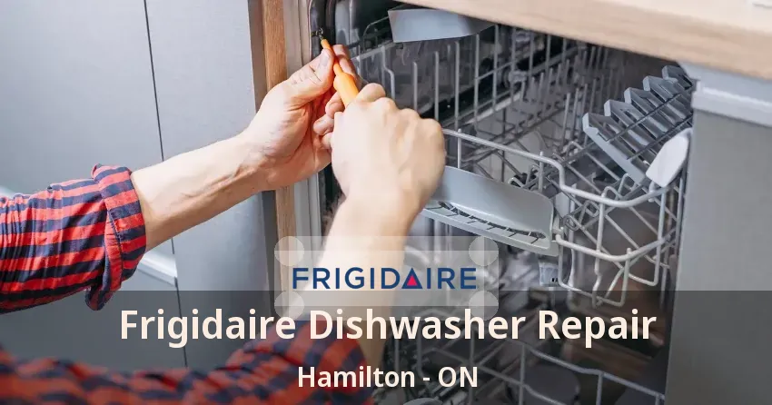 Frigidaire Dishwasher Repair Hamilton - ON