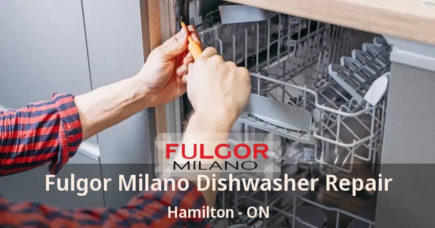 Fulgor Milano Dishwasher Repair Hamilton - ON