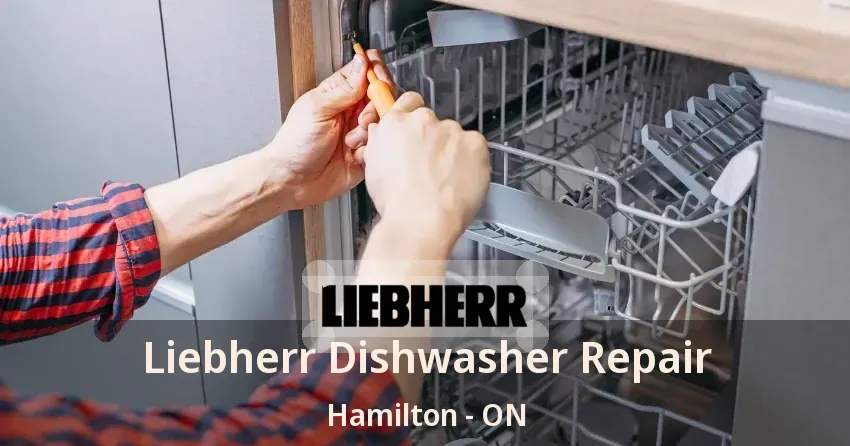 Liebherr Dishwasher Repair Hamilton - ON