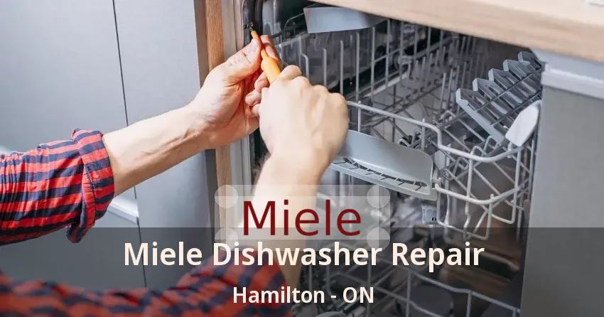 Miele Dishwasher Repair Hamilton - ON