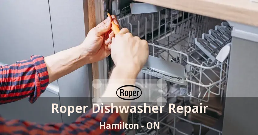 Roper Dishwasher Repair Hamilton - ON