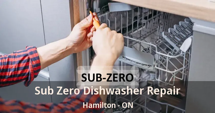Sub Zero Dishwasher Repair Hamilton - ON