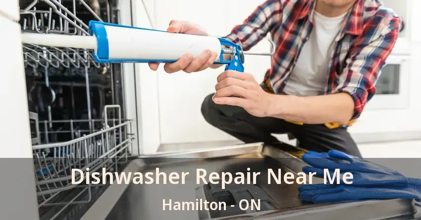 Dishwasher Repair Near Me Hamilton - ON