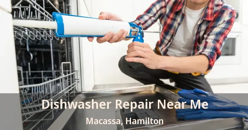 Dishwasher Repair Near Me Macassa, Hamilton - ON