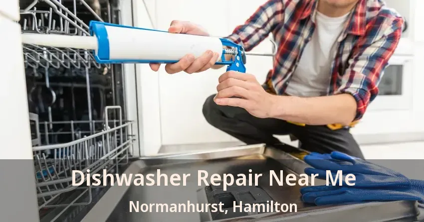 Dishwasher Repair Near Me Normanhurst, Hamilton - ON