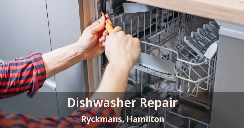 Dishwasher Repair Ryckmans, Hamilton - ON