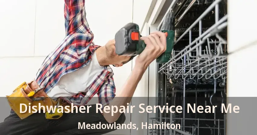Dishwasher Repair Service Near Me Meadowlands, Hamilton - ON