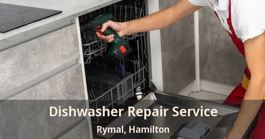 Dishwasher Repair Service Rymal, Hamilton - ON