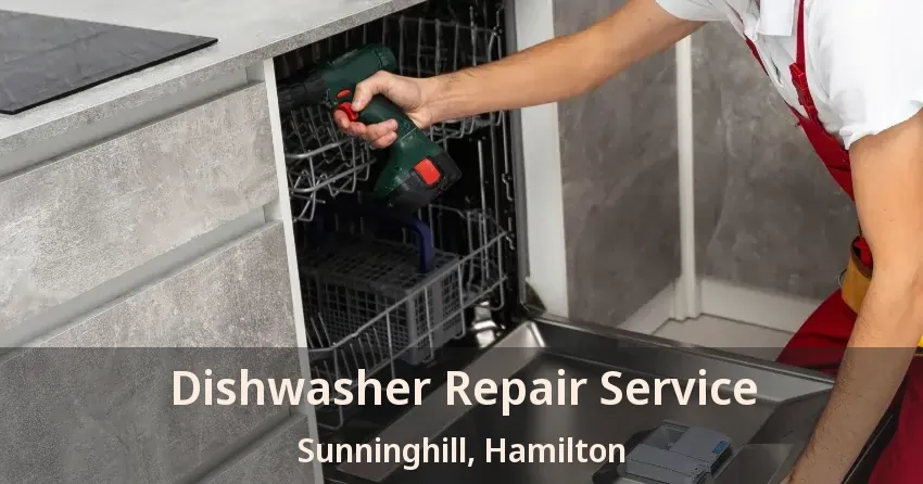 Dishwasher Repair Service Sunninghill, Hamilton - ON
