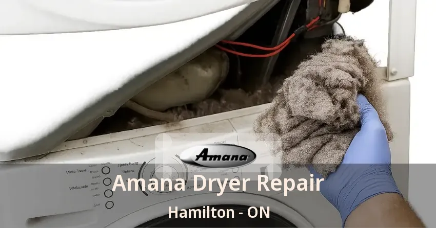 Amana Dryer Repair Hamilton - ON