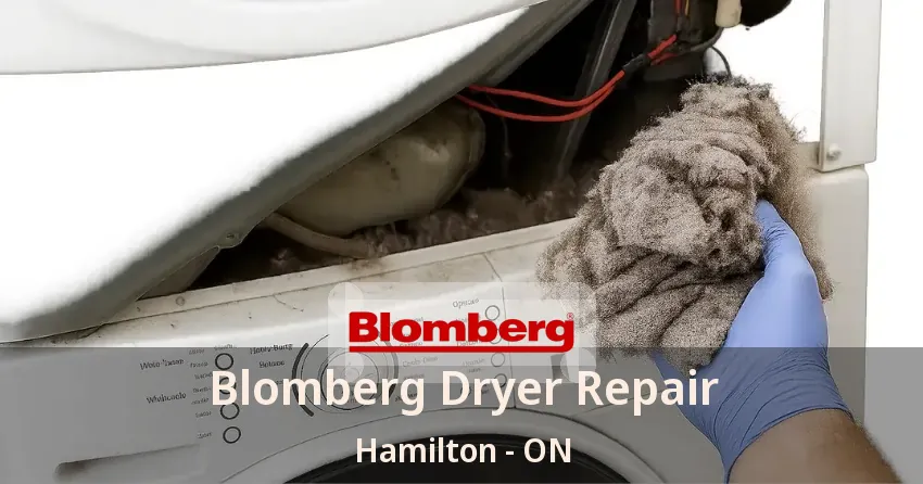 Blomberg Dryer Repair Hamilton - ON