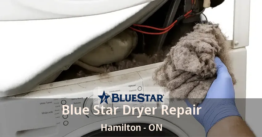 Blue Star Dryer Repair Hamilton - ON