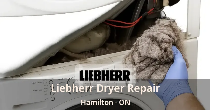 Liebherr Dryer Repair Hamilton - ON