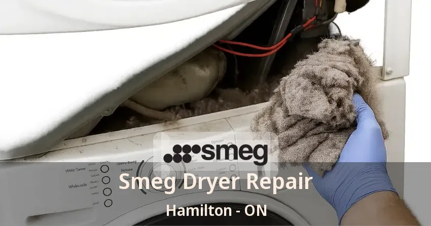 Smeg Dryer Repair Hamilton - ON