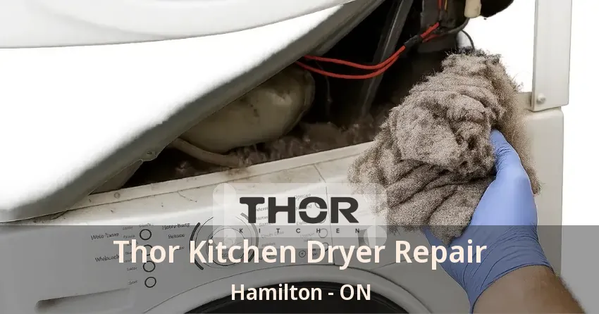Thor Kitchen Dryer Repair Hamilton - ON