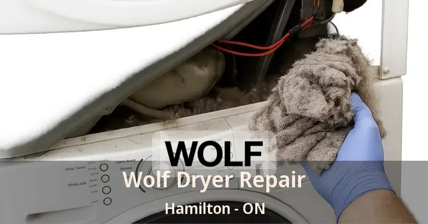 Wolf Dryer Repair Hamilton - ON