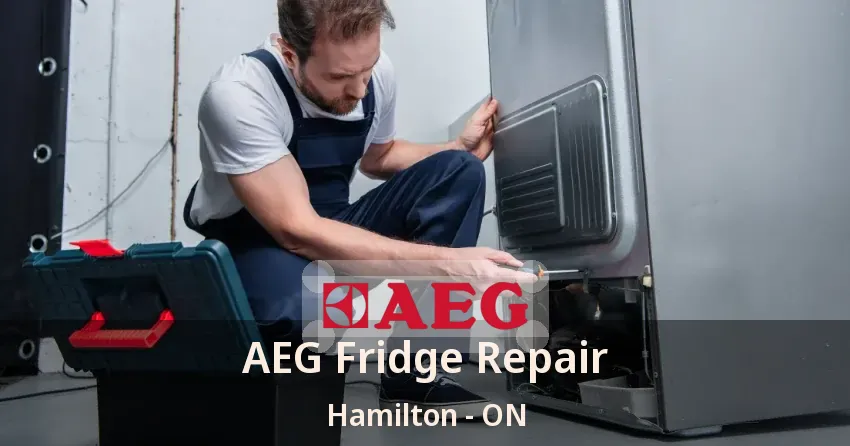 AEG Fridge Repair Hamilton - ON