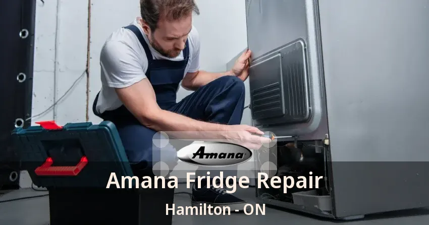 Amana Fridge Repair Hamilton - ON