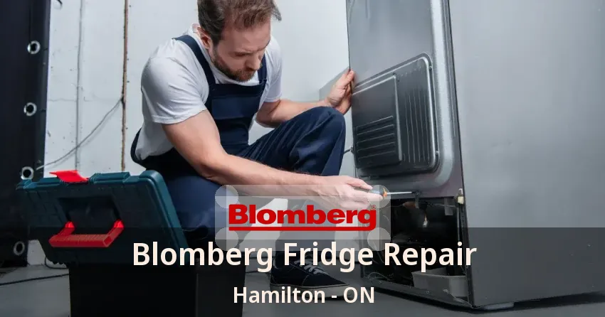 Blomberg Fridge Repair Hamilton - ON
