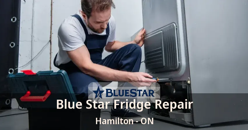 Blue Star Fridge Repair Hamilton - ON
