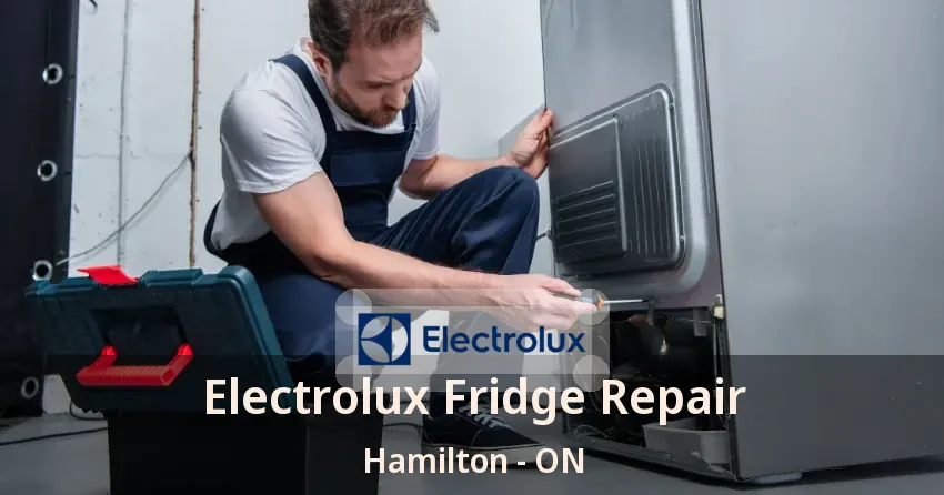 Electrolux Fridge Repair Hamilton - ON