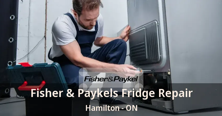 Fisher & Paykels Fridge Repair Hamilton - ON