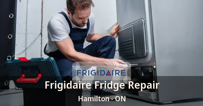 Frigidaire Fridge Repair Hamilton - ON