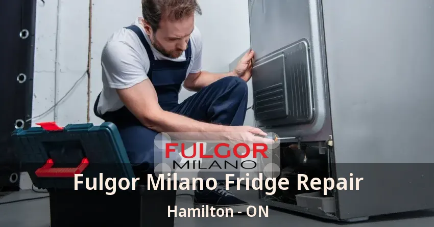 Fulgor Milano Fridge Repair Hamilton - ON