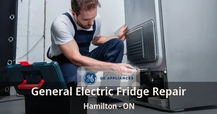 General Electric Fridge Repair Hamilton - ON