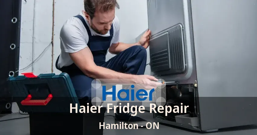 Haier Fridge Repair Hamilton - ON