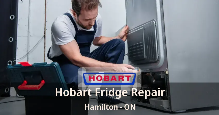 Hobart Fridge Repair Hamilton - ON