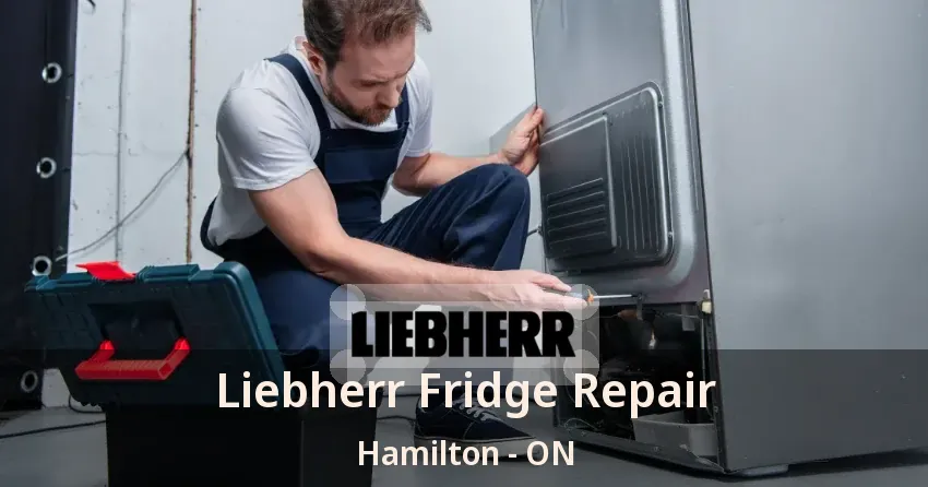 Liebherr Fridge Repair Hamilton - ON