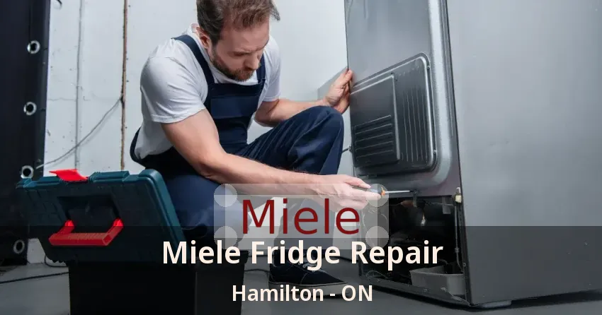 Miele Fridge Repair Hamilton - ON