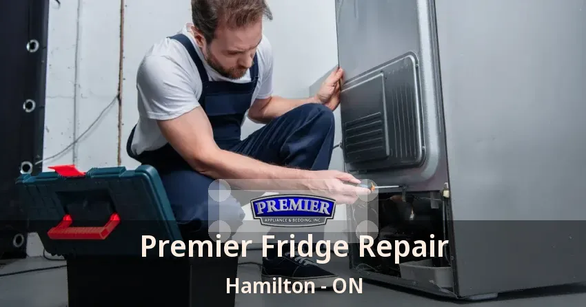 Premier Fridge Repair Hamilton - ON