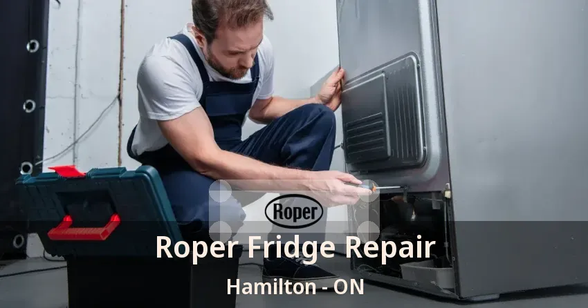 Roper Fridge Repair Hamilton - ON