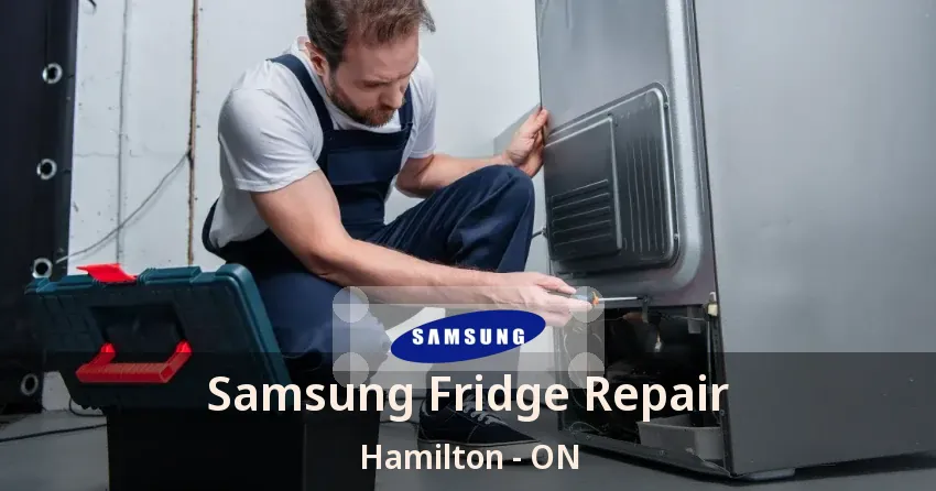 Samsung Fridge Repair Hamilton - ON