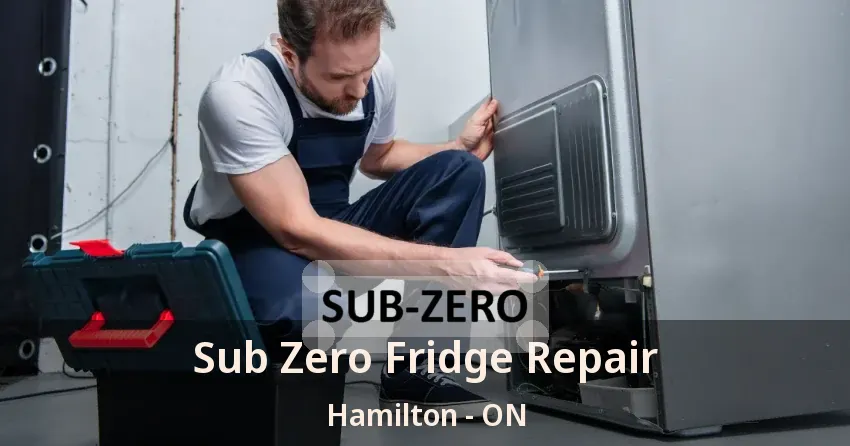 Sub Zero Fridge Repair Hamilton - ON