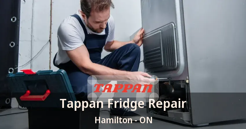 Tappan Fridge Repair Hamilton - ON