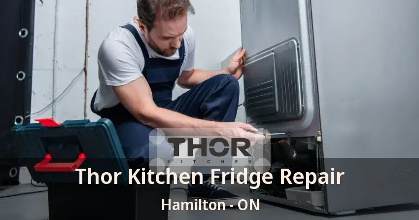 Thor Kitchen Fridge Repair Hamilton - ON