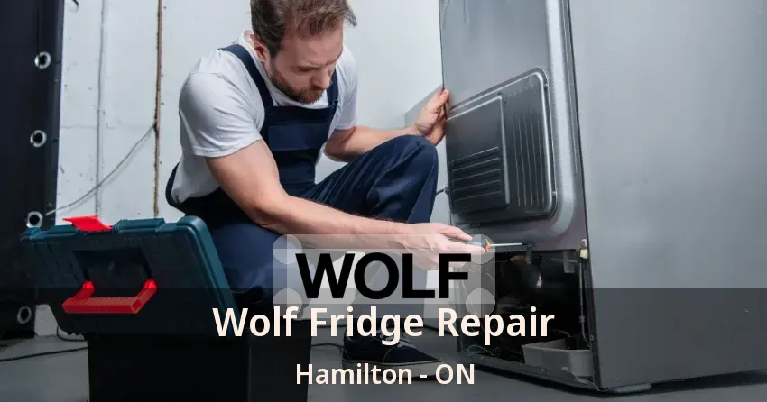 Wolf Fridge Repair Hamilton - ON
