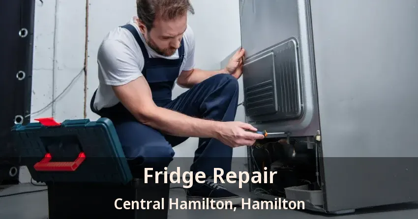 Fridge Repair Central Hamilton, Hamilton - ON