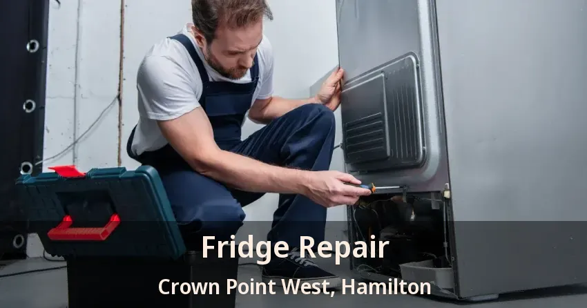 Fridge Repair Crown Point West, Hamilton - ON